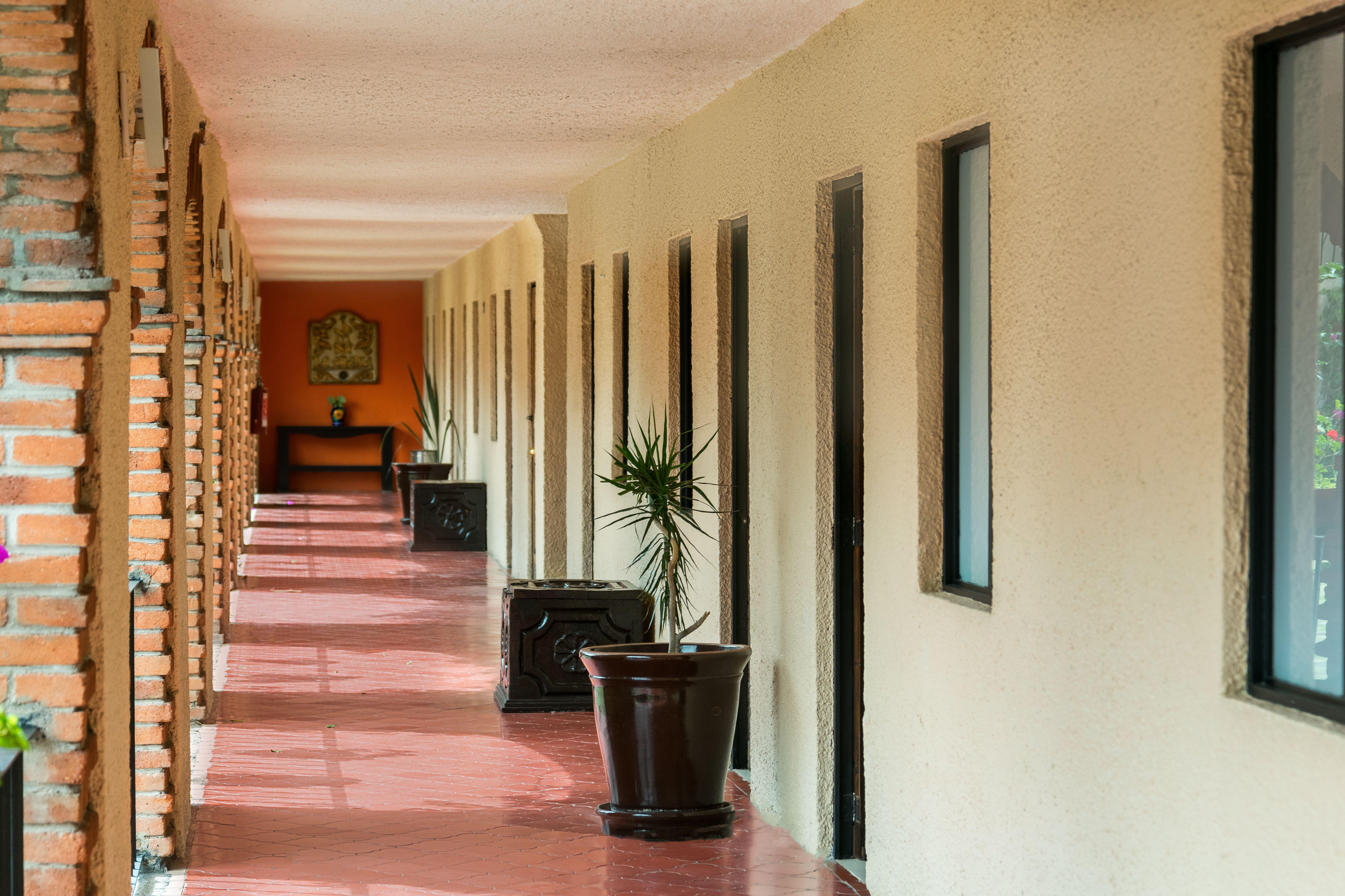 Hotel Abadia Plaza غواناخواتو المظهر الخارجي الصورة